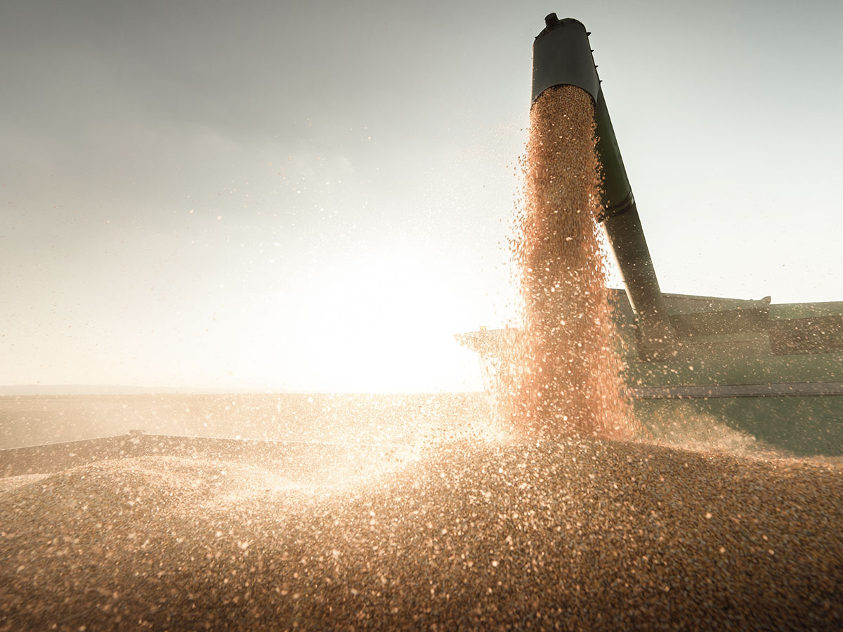 Ewolucja rynku i magia liczb – jak planować kampanię, żeby zbierać marketingowe żniwo