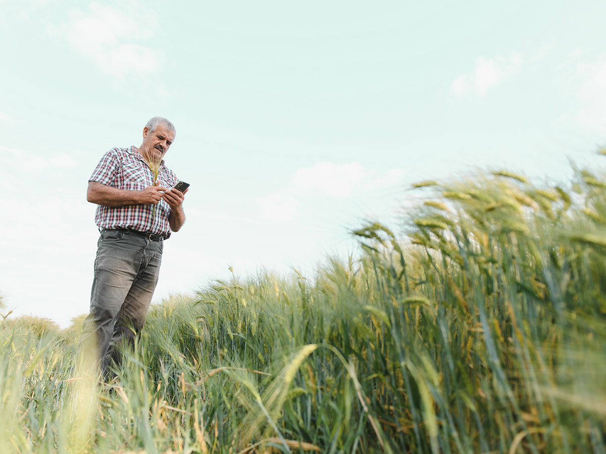 Jak zaangażować swoich fanów na Facebooku? Czego chcą rolnicy w social media?