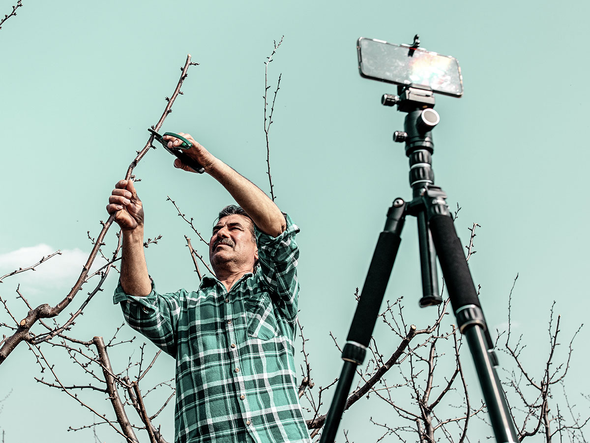 Video marketing w rolnictwie – dlaczego się sprawdza?