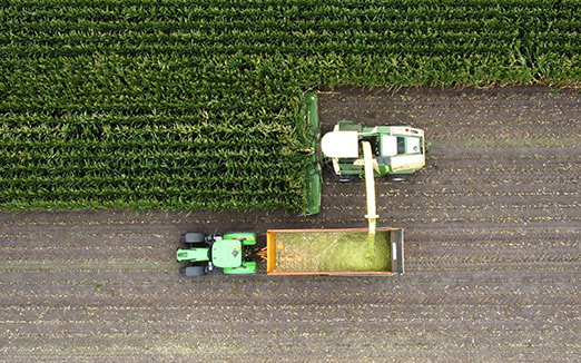 Why the agro strategy from Adagri?