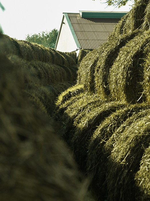 adagri Pozycjonowanie: SEO i AI Overview