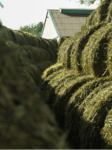 Pozycjonowanie: SEO i AI Overview zdjęcie