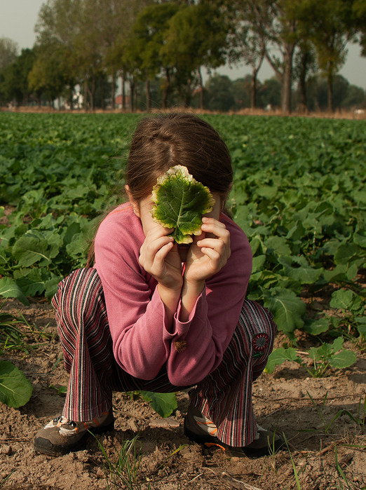 adagri Public Relations