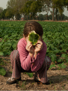 adagri Public Relations