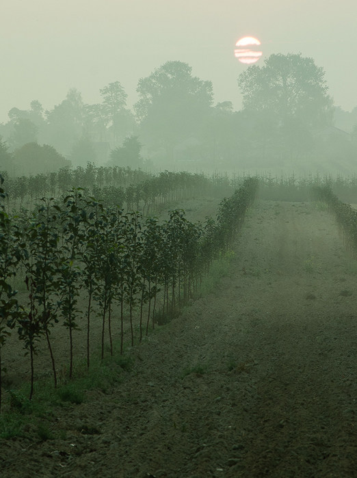 adagri Strategia marki agro