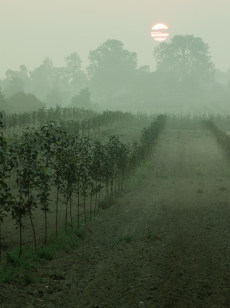 adagri Strategia marki agro