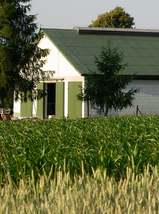 adagri Strony internetowe i landing pages