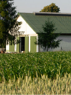 Strony internetowe i landing pages zdjęcie