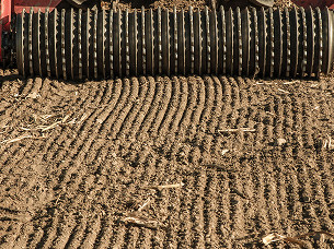 co robimy w praktyce