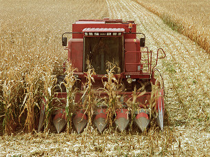 Realizujemy SEO i tworzymy content, które: