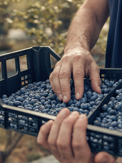 adagri warto się poznać