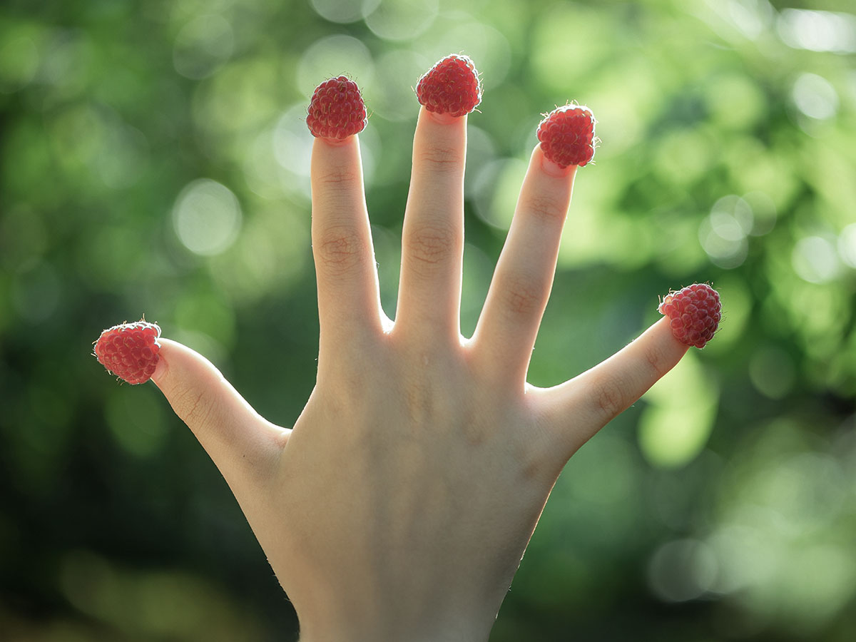 Content marketing in agriculture - 5 content ideas to attract farmers