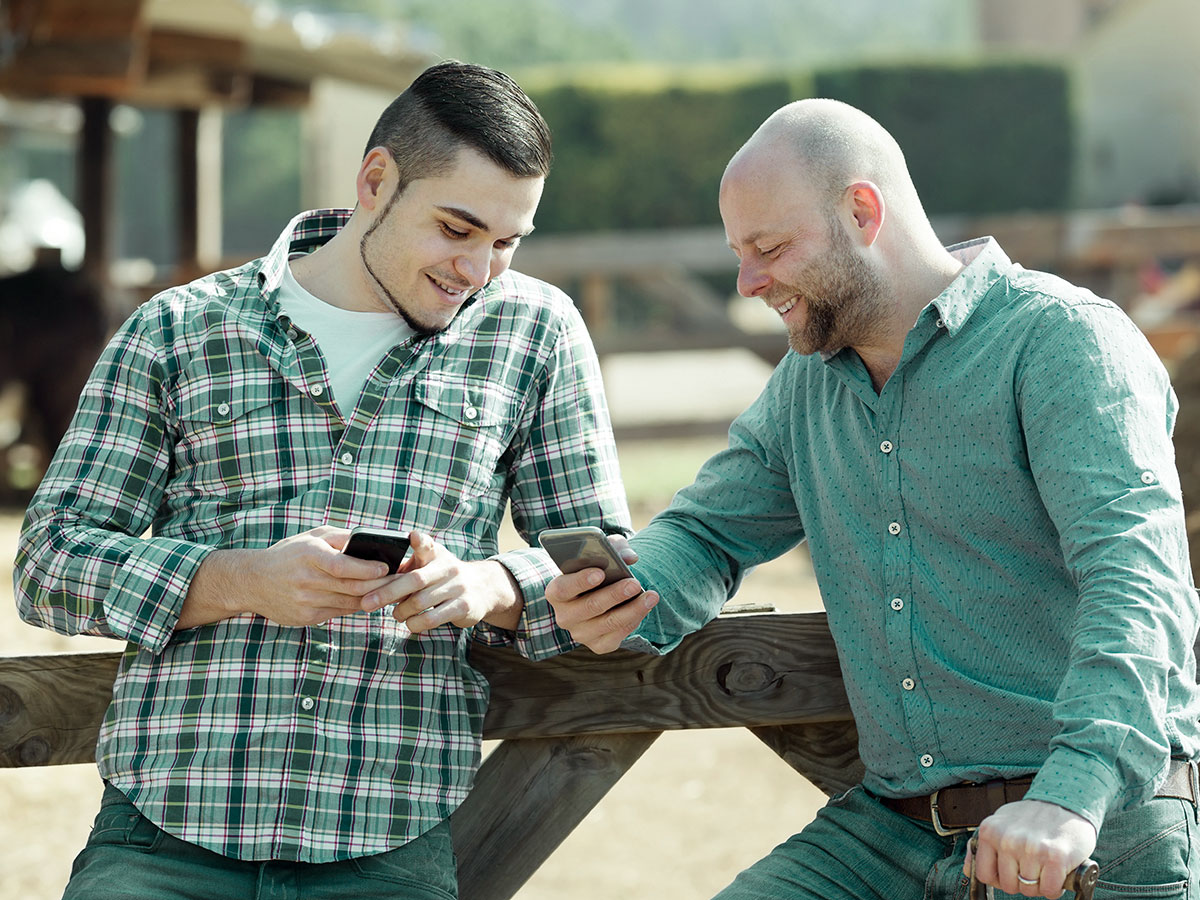 meta ads in agriculture