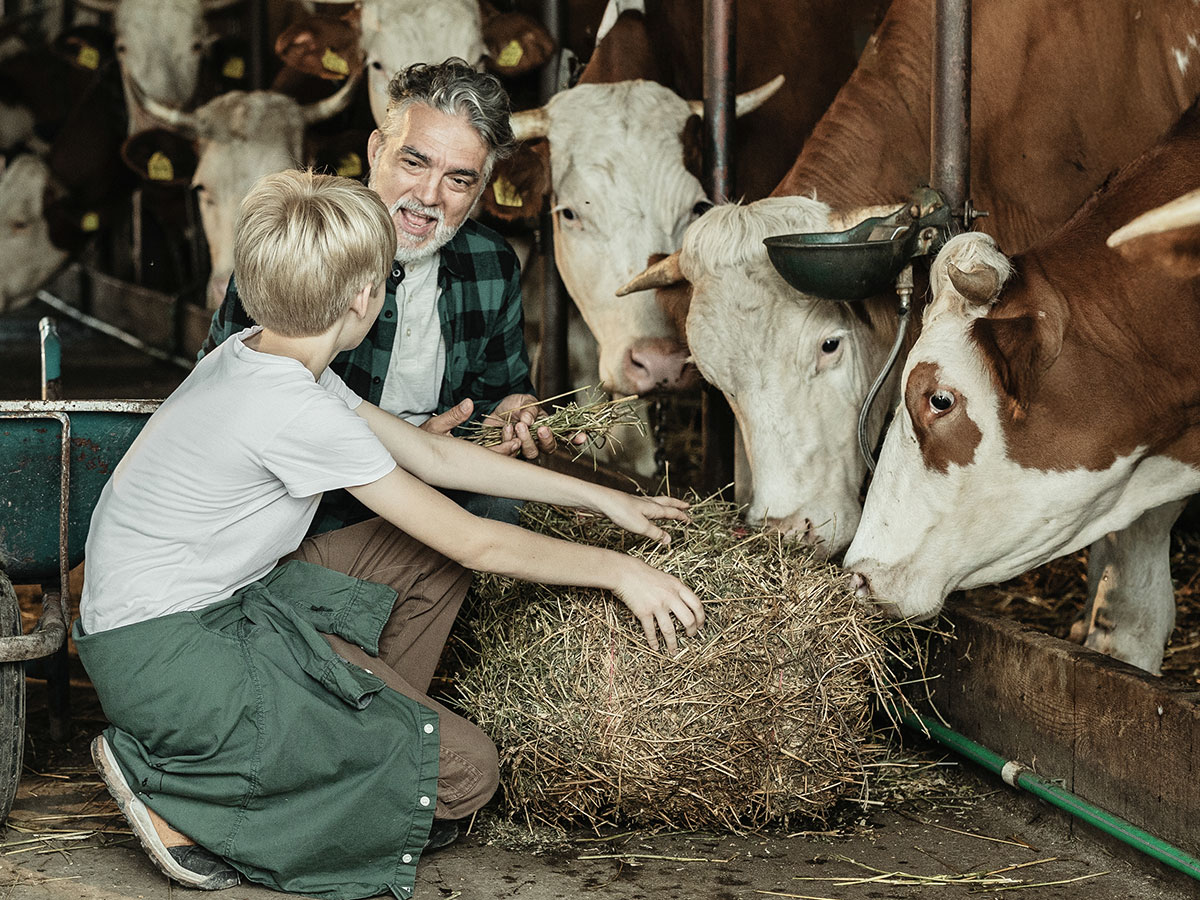 Sztuczna inteligencja w marketingu rolniczym — o co chodzi z “karmieniem”modeli AI?