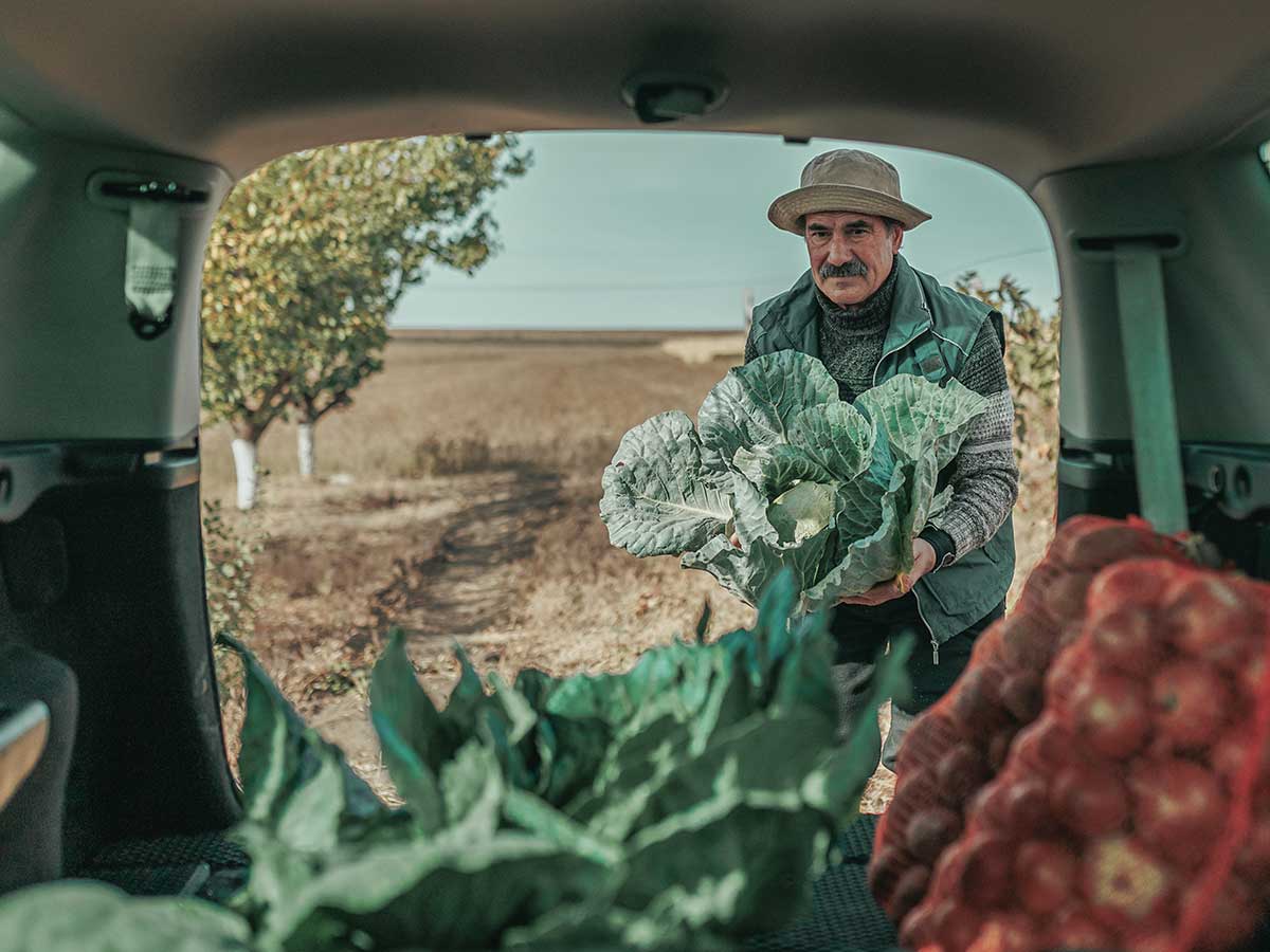 Pozycjonowanie AI w rolnictwie – jak budować sprzedaż, gdy ruch na stronie spada?