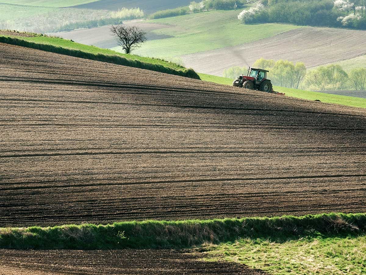 Cyfrowy siew, realne zbiory – jak pozyskiwać leady w rolnictwie, gdy rolnik w polu?